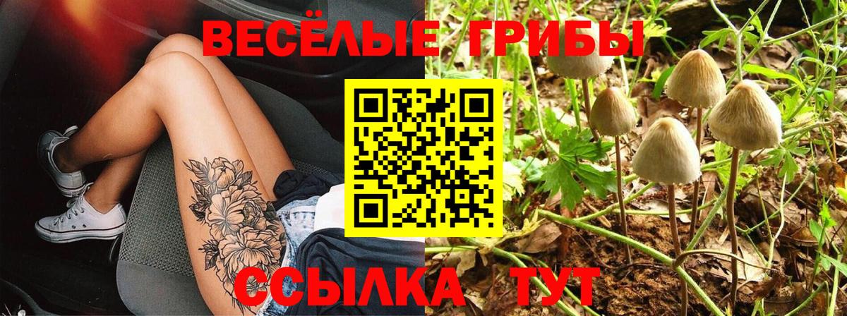 Галлюциногенные грибы Psilocybine cubensis Альметьевск